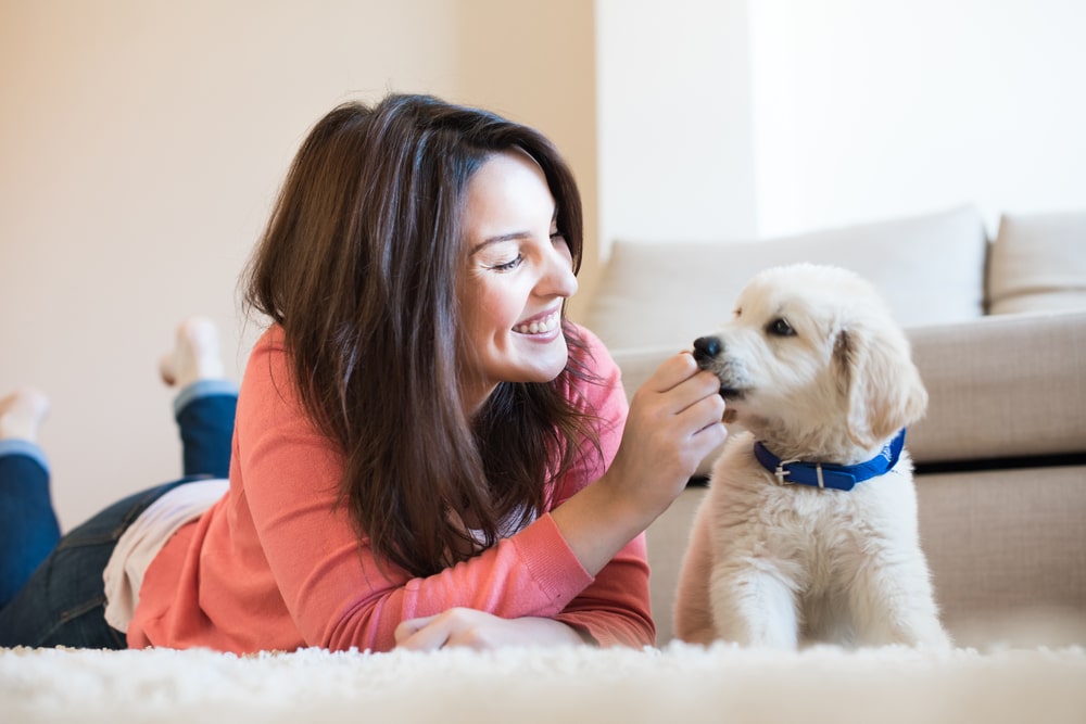 Woman lying on rug with puppy