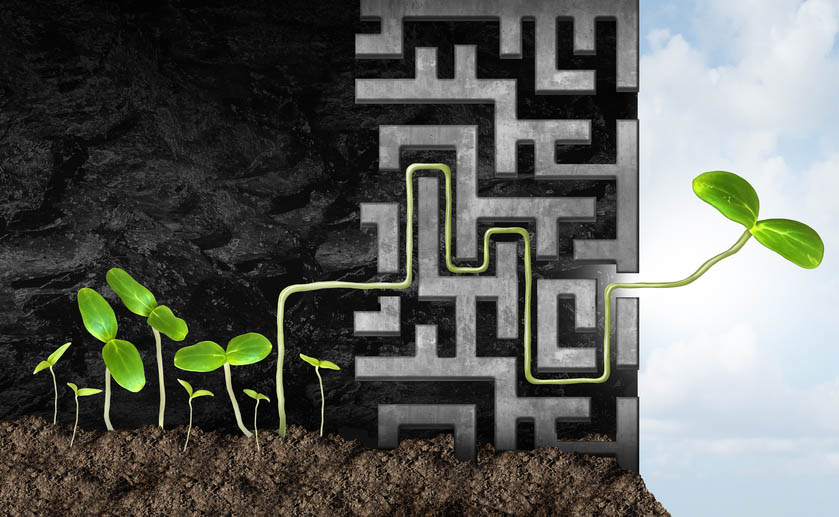 Illustration of a plant growing through a maze of darkness to emerge into sunlight